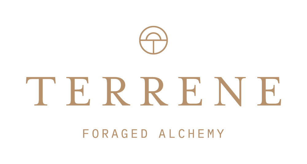 Terrene Studio • Foraged Alchemy • Naturally Dyed Apparel Made in CA